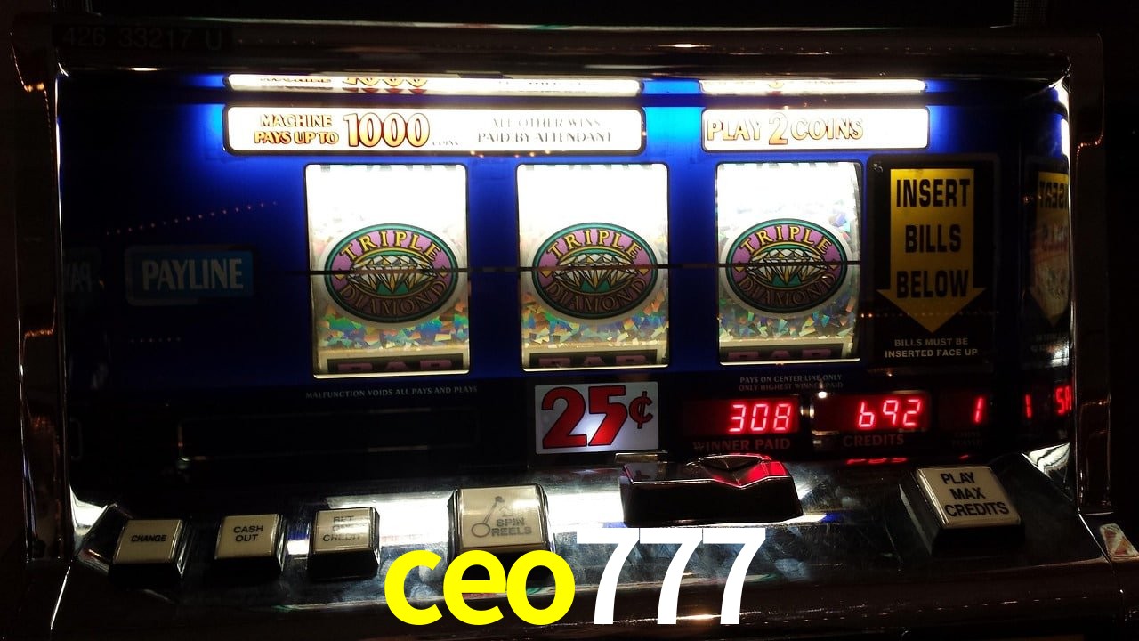 Experiência VIP ceo777